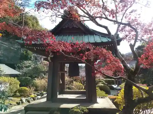 海蔵寺(神奈川県)