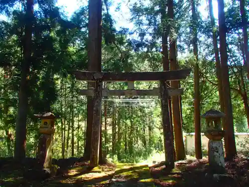 白山神社の鳥居