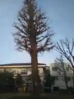 稲荷森稲荷神社(東京都)