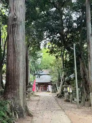 日吉神社(千葉県)