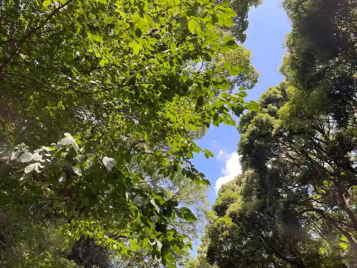 明治神宮(東京都)