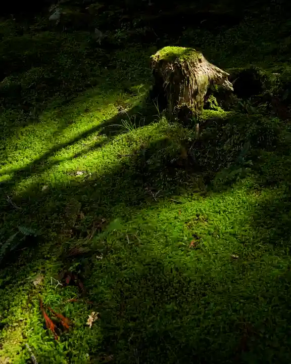 御岩神社(茨城県)