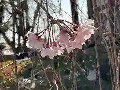 芳林寺(埼玉県)