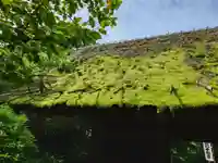 杉本寺(神奈川県)