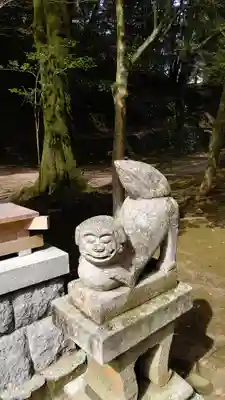 石鎚神社 口之宮 本社の狛犬