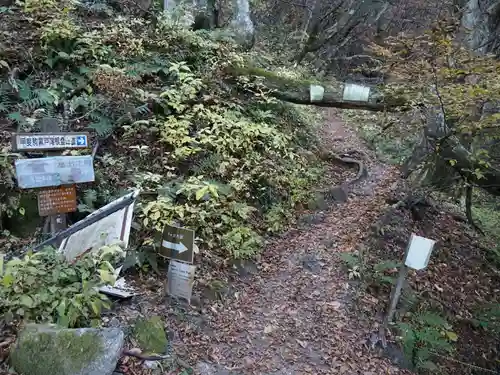 甲斐駒ヶ岳神社の自然