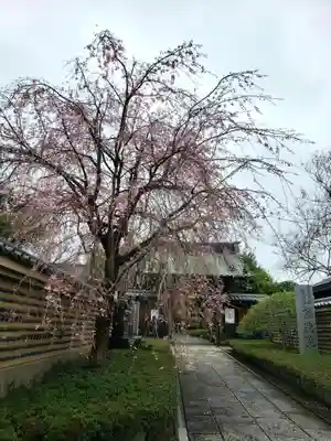 福蔵院(東京都)