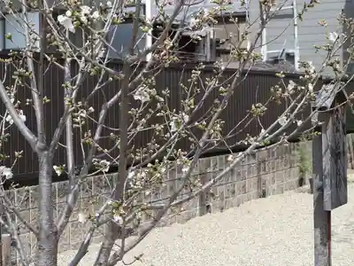墨染寺（桜寺）(京都府)