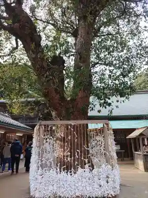 櫻井神社(福岡県)
