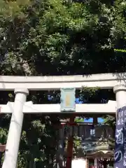 天沼八幡神社の鳥居