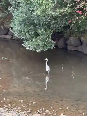 宇佐神宮(大分県)