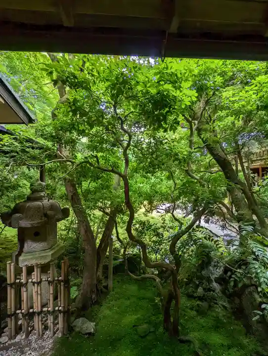 光明寺瑠璃光院の庭園