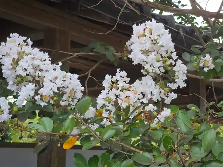 世尊寺(奈良県)