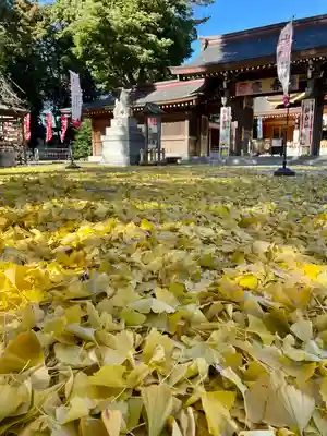 亀ケ池八幡宮(神奈川県)