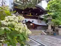元祇園梛神社・隼神社の本殿・本堂