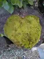 明智神社(福井県)