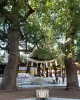 明治神宮の本殿・本堂