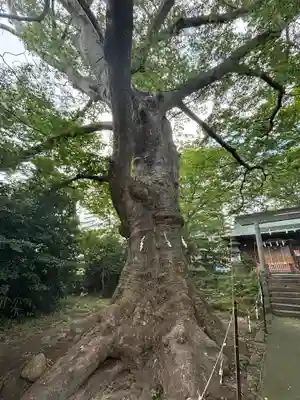 愛宕神社(福島県)