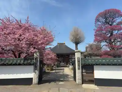 芳林寺(埼玉県)