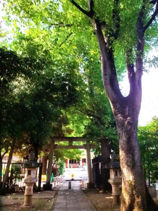 荻窪白山神社(東京都)