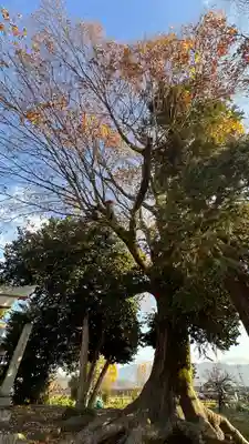 十所神社(滋賀県)