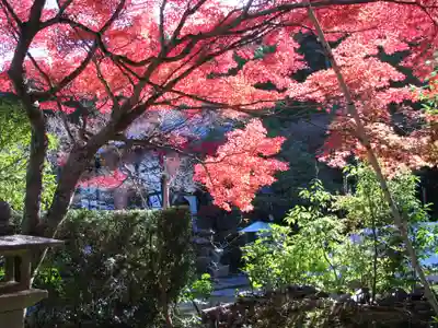 安養寺のその他建物
