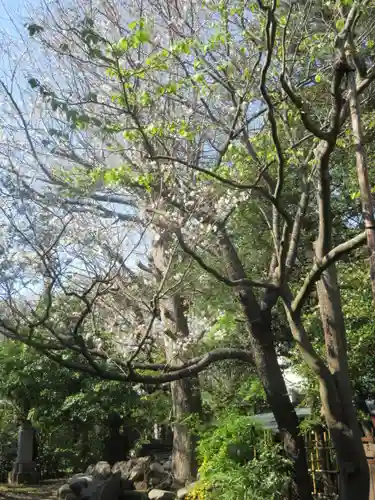 極楽寺（霊鷲山感應院極楽律寺）の景色