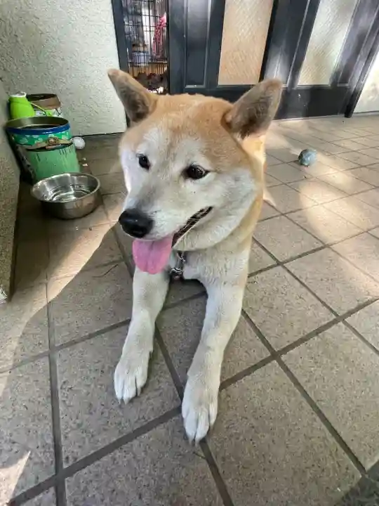 笠䅣稲荷神社(神奈川県)