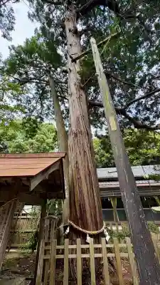 鎌田神明宮(静岡県)