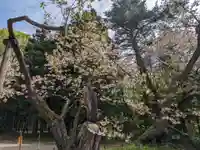 磐椅神社(福島県)