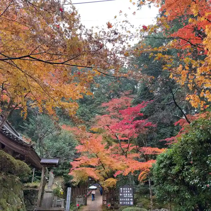 金剛輪寺(滋賀県)