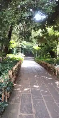 赤坂氷川神社(東京都)