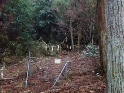 伏見稲荷大社(京都府)