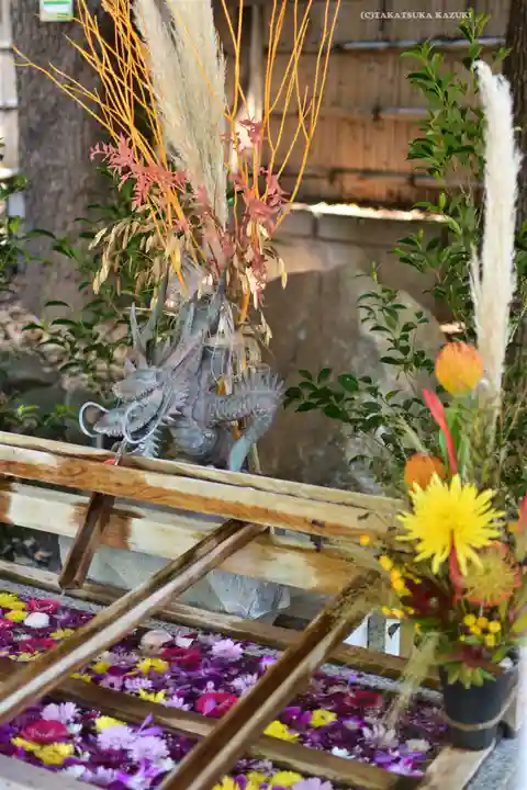 東京大神宮(東京都)