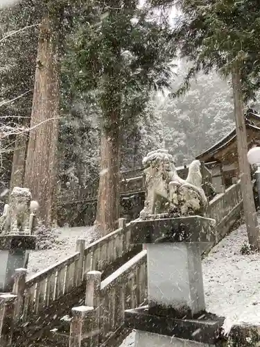 高賀神社の狛犬