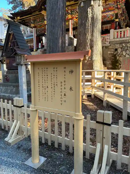 三峯神社(埼玉県)