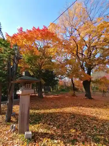 月寒神社の自然