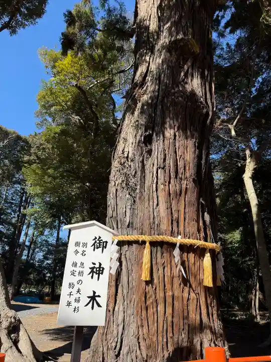 息栖神社(茨城県)