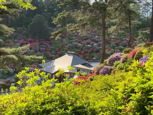 塩船観音寺の景色