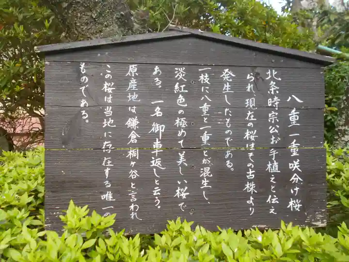 極楽寺(霊鷲山感應院極楽律寺)の歴史