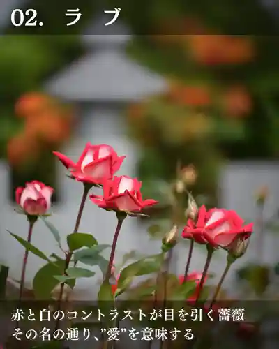 宝光寺(北海道)