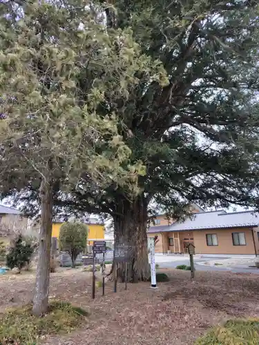 高性寺(栃木県)