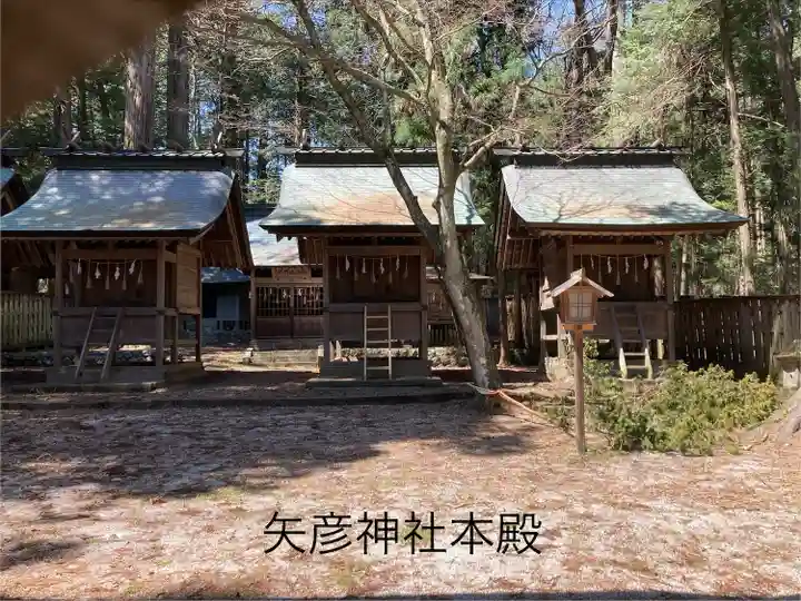 矢彦神社(長野県)