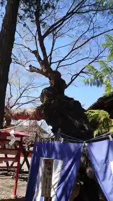 生島足島神社(長野県)