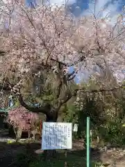 森友瀧尾神社の自然