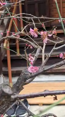 宝蔵寺(京都府)