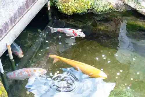 太宰府天満宮(福岡県)