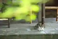 玉野御嶽神社(愛知県)