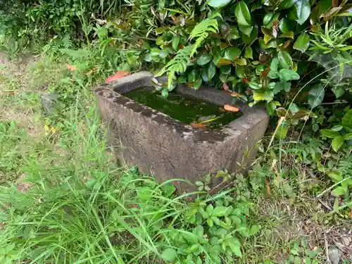 三島神社の手水舎