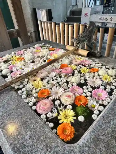 高円寺氷川神社(東京都)